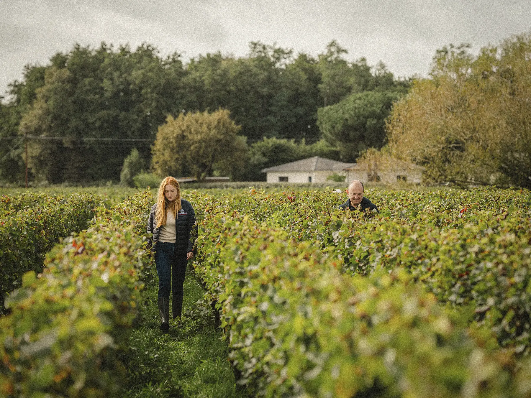 Vignerons marchant dans les rangs de vigne du chateau Marquis de Terme, observation du raisin, travail du vignoble et savoir-faire viticole